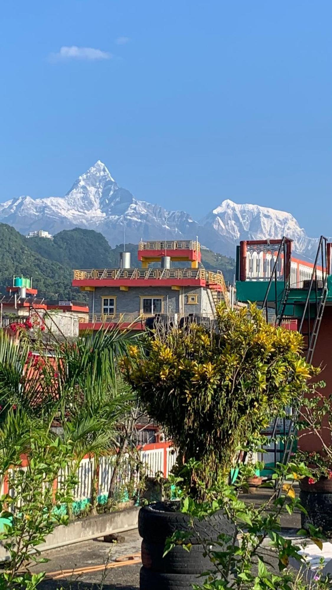 New Pokhara Lodge Bagian luar foto